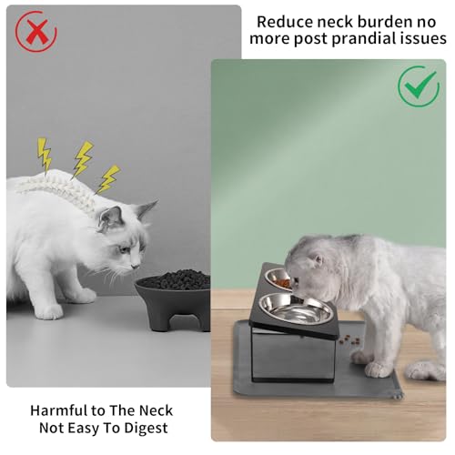 Upgraded Elevated Cat Bowls with Food Mat