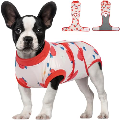 Dog Recovery Suit (Strawberry Red / X-Small)