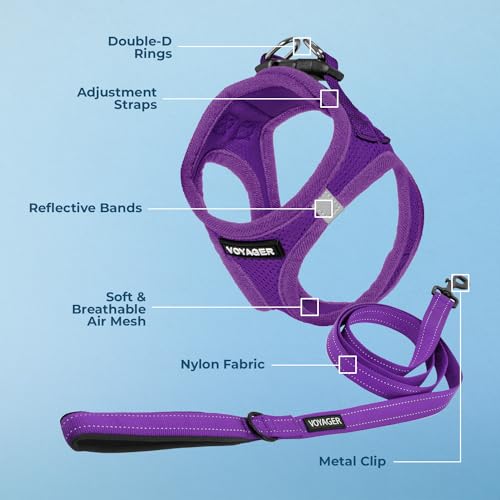 Voyager Step in Air All Weather Mesh Harness and Reflective Dog 5ft Leash Combo with Neoprene Handle (Harness Leash Set (Purple) / L (Chest: 18 - 20.5"))