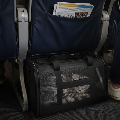 Cat Carrier Soft (Black / 17.0"L x 11.0"W x 11.0"H)