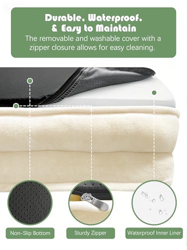 Orthopedic Dog Bed with Sides (35.0"L x 25.0"W x 6.5"Th / Ivory)