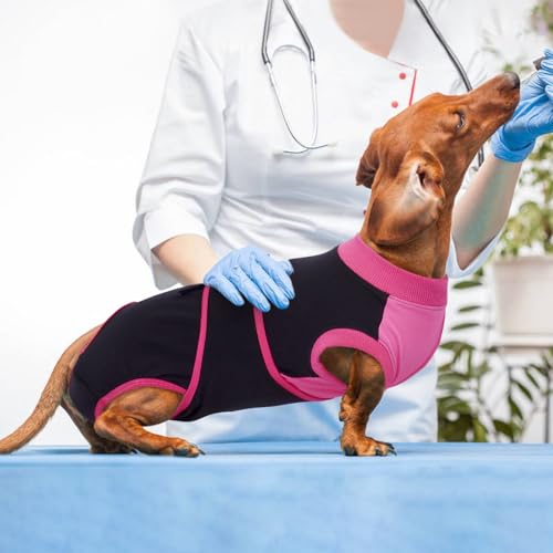 Dog Recovery Suit (Black / X-Small)