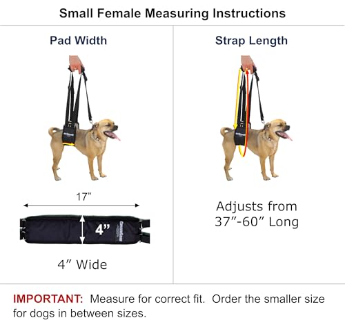 Dog Rear Sling Support Harness (Small - Female)