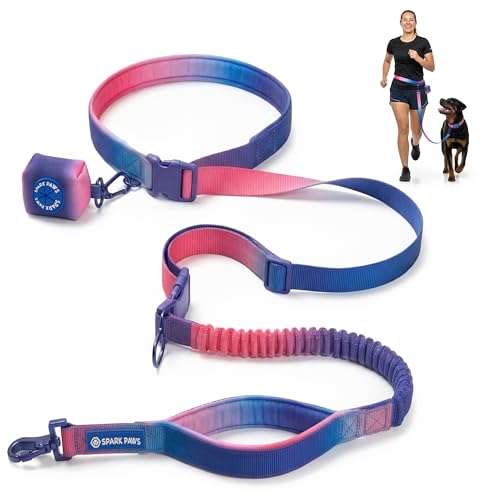 Hands Free Dog Leash (Snow Cone)