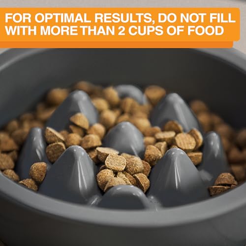 The Niner Slow Feed Bowl (Gunmetal Grey / 2 Cup)