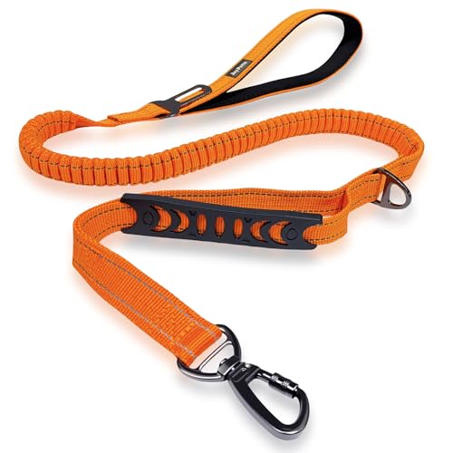 Dual Handle Bungee No (Orange)