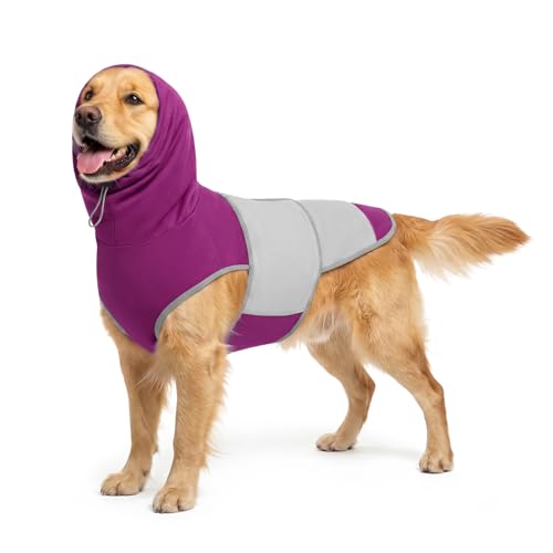Dog Thunder Vest (Purple / S)