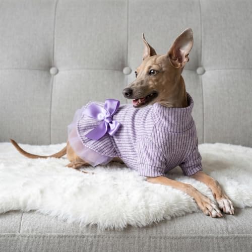 Collared Neck Tulle Dog Dress (Small / Purple)
