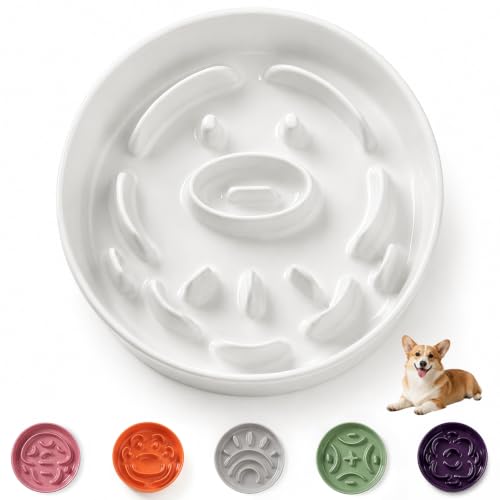 Ceramic Slow Feeder Dog Bowl (White / Medium without Stand)
