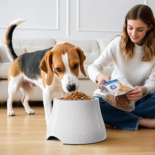 Elevated Dog Bowls with Stainless Steel Bowl (White-Crackle / M/2 Cups)