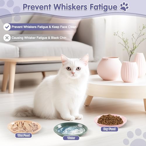 6 Pack Cat Food Bowl (CaiSe-B)