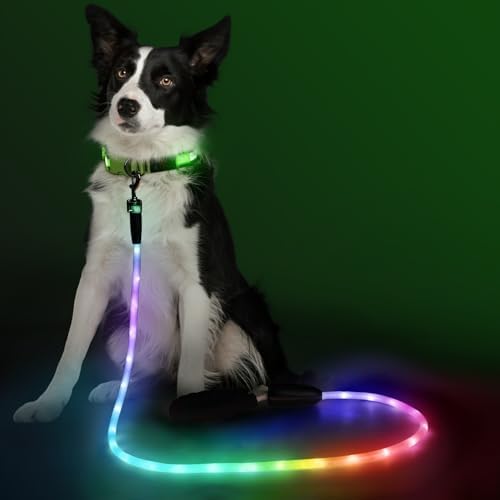 4Ft Light Up Dog Leash