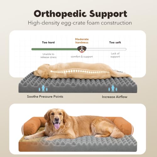 Orthopedic XL Dog Bed with Bolster for Extra Large Size Dogs (42.0"L x 30.0"W x 8.0"Th / Orange)