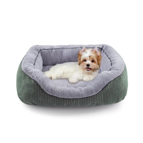 Small Dog Bed Orthopedic Warming Soft Calming Sleeping Durable with Anti (S PLUS (25"x21"x8") / Green)