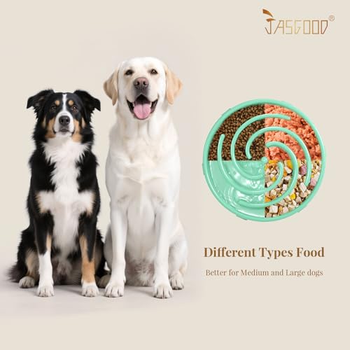 Slow Feeder Dogs Bowl for Medium Dogs (Large / Mint Green)