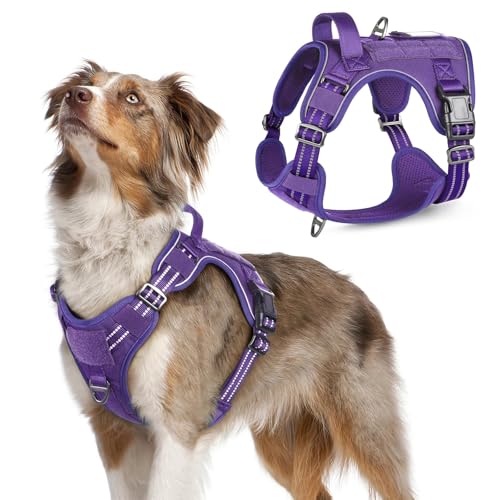 Tactical Dog Harness for Medium (Purple / Medium)