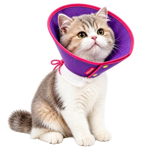 Soft Dog Cone Collar for Dogs & Cats (Purple / S)