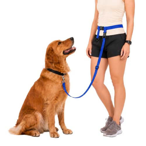 Hands Free Dog Leash (Regular Dog System (Regular Belt (22"- 40" Waist)) / Royal Blue)