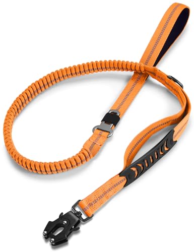Heavy Duty Dog Leash (Orange)
