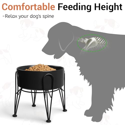 Elevated Dog Bowls (Black / 7.6 Cups | 2 Pack | For Large Dogs)