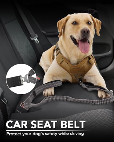 Tactical Bungee Dog Leash (Gray)