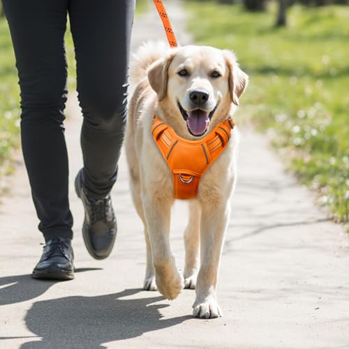 Dog Harness for Medium Sized Dog No Pull Dog Vest ID Tag Pocket (Orange / Medium)