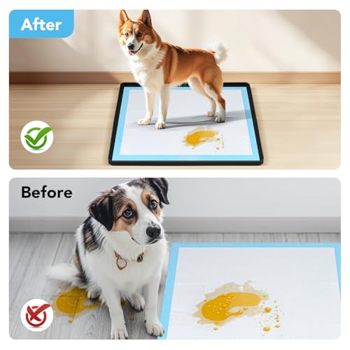 Pee Pad Holder for Dogs (Black)