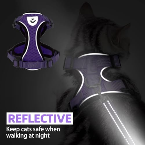 Cat Harness and Leash Set Escape Proof Reflective Cat Walking Harness Adjustable Soft Breathable Mesh Vest for Small Pets (M (NECK 11"-13.7", CHEST 16"-20") / Purple)