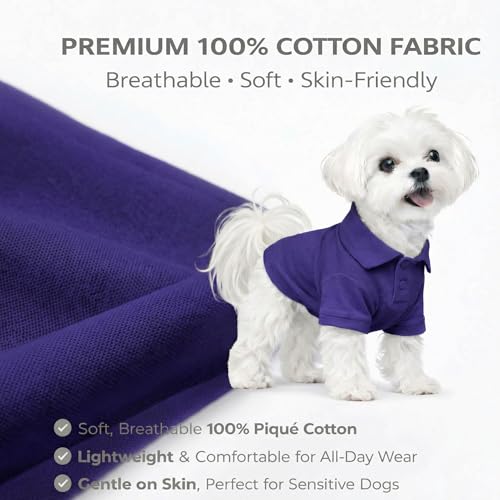 Basic Dog Polo Shirts Premium Cotton (XS (-6lbs) / Purple)