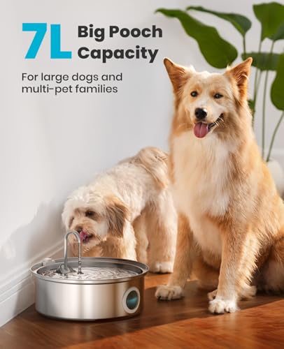 Dog Water Fountain PWF002 with 1Filters