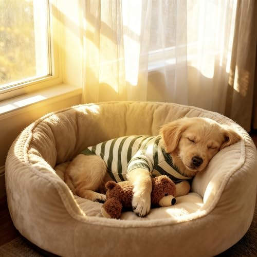Small Dog Sweater (Green Stripe Pullover(Order One Size Up) / XX-Large)