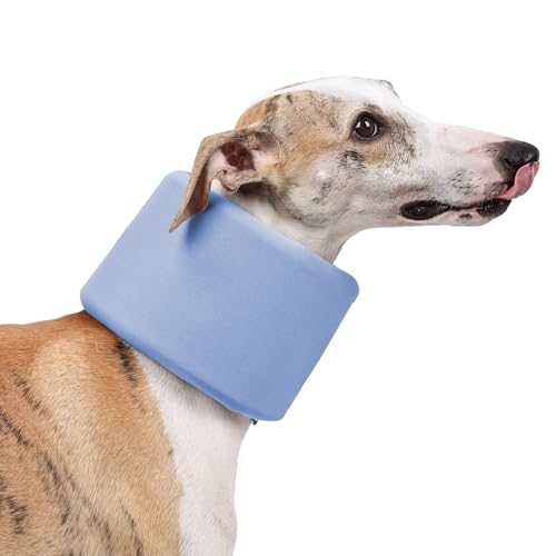 Dog Neck Brace for Pet After Surgery Recovery Adjustable Breathable Neck Cervical Cone (Blue / XL)