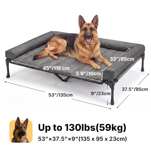 Outdoor Elevated Dog Bed with Waterproof Bolster Cushion (Black Silver / 53.0"L x 37.5"W x 9.0"Th)