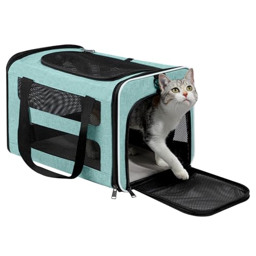 Cat Carrier Soft (Teal / 18.5"L x 11.8"W x 11.8"H)