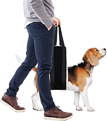 20 150lb Dog Sling for Large Dogs Hind Leg Support (Black)