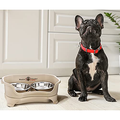 Express Mess Proof Dog Bowls Elevated for Small Breeds Under 15 Lb (Small w/ Standard Bowls / Almond)
