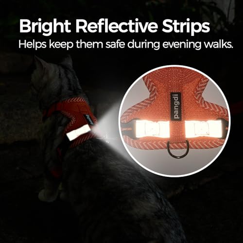 Cat Harness and Leash Set (Orange / Small)