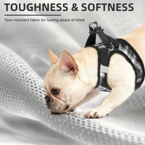 Dog Harness Collar and Leash Set No Pull for Small Medium Sized (Black / S (CHEST 14.5"-16"))