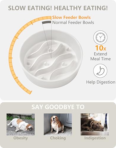 Ceramic Slow Feeder Dog Bowls for Small Dogs (White / 6 Inches)