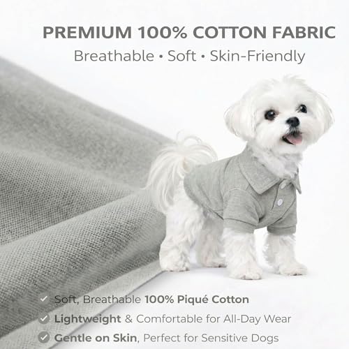 Basic Dog Polo Shirts Premium Cotton (M (-12lbs) / Gray)