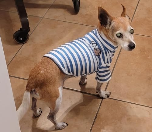 Turtleneck Dog Shirt Cute Doggie Embroidery Super Soft Dog Sweatshirt Stretchy Striped Puppy Pullover for Cats Small Medium Large Dogs (Blue Striped / Medium)