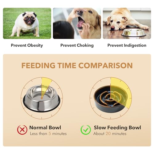 Raised Slow Feeder Dog Bowls (2 x Starry Sky + Stand - A / S- 6.1inch / 0.9 Cups)