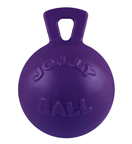 Tug-n-Toss Heavy Duty Dog Toy Ball with Handle, 10 Inches/X-Large, Purple (Purple / XL (10 in))