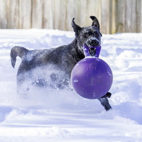 Tug-n-Toss Heavy Duty Dog Toy Ball with Handle, 8 Inches/Large, Purple (Purple / Large (8 in))