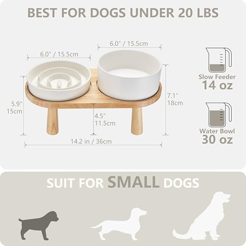 Ceramic Slow Feeder and Water Bowl Set for Small Dogs (White / 6" D)