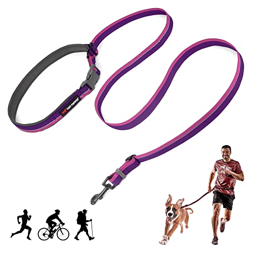 Hands Free Adjustable Length Dog Leash (Punch Purple)