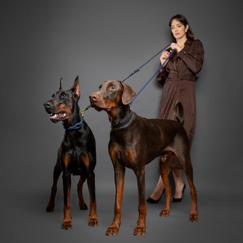 Hands Free Dog Leash (Dark Blue)