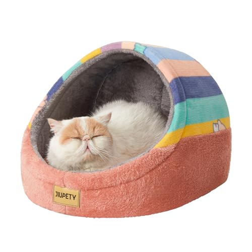 Cute Cat Beds for Indoor Cats (Medium / Rainbow)