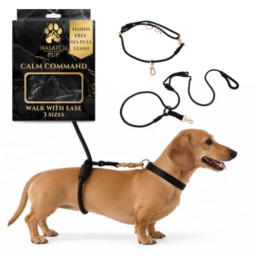 No Pull Hand Free Dog Leash with Wrap (Black / Small (25 lbs and Under))