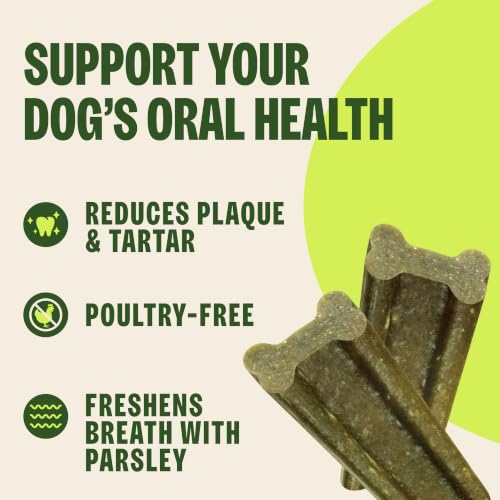 Wellness WHIMZEES Freshzees Natural Dog Dental Treat (14 Count (Pack of 1))
